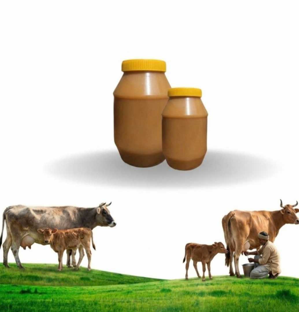 গরুর,দুধের,দানাদার,,ঘি